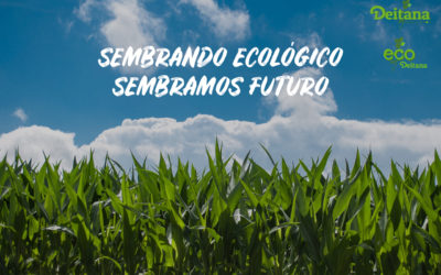Semilleros ecológicos | Semilleros Deitana
