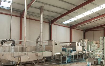 Lavando nuestras bandejas