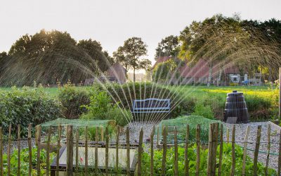 Formas de riego en la agricultura