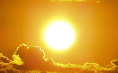 Solarización de suelos